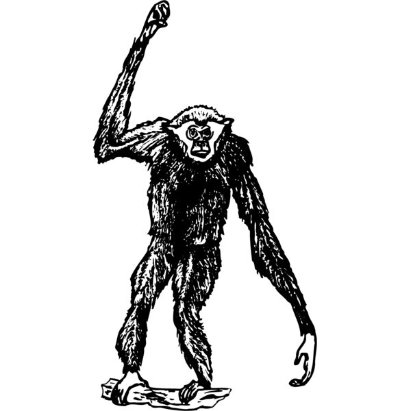 MONK003 Thumbnail