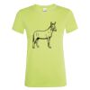 SOL'S Ladies Regent T-Shirt Thumbnail
