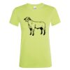 SOL'S Ladies Regent T-Shirt Thumbnail