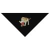 SOL'S Bandana Thumbnail